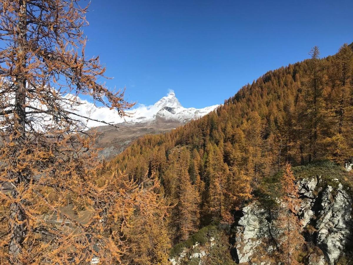 Appartamento Cervinia Fronte Funivie Breuil-Cervinia Kültér fotó